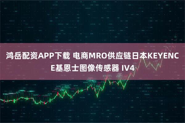 鸿岳配资APP下载 电商MRO供应链日本KEYENCE基恩士图像传感器 IV4