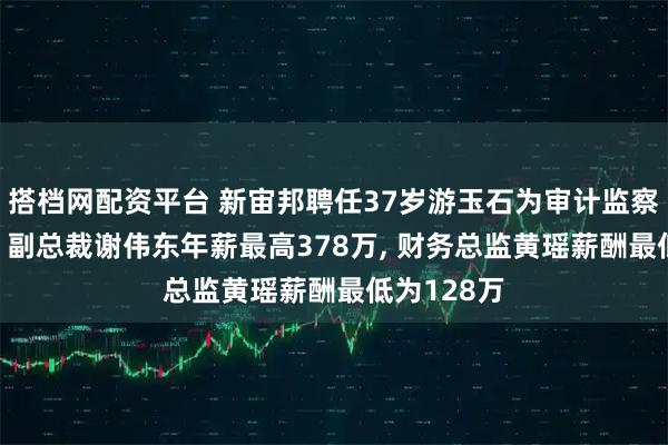 搭档网配资平台 新宙邦聘任37岁游玉石为审计监察部负责人, 副总裁谢伟东年薪最高378万, 财务总监黄瑶薪酬最低为128万