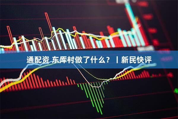 通配资 东厍村做了什么？丨新民快评